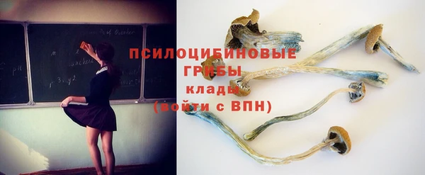 мескалин Алексин
