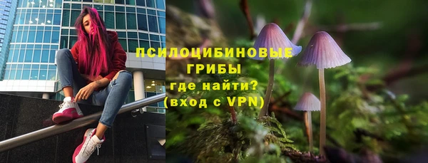 таблы Алзамай