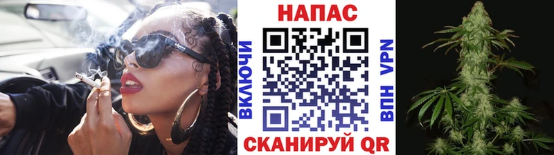 Купить где  Чернушка  Бошки марихуана OG Kush 